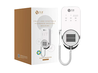 双迪知水果蔬氢洗机